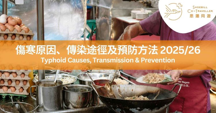 傷寒疫苗香港2025/26 | 傷寒原因、傳染途徑及預防方法  - 思邈健康